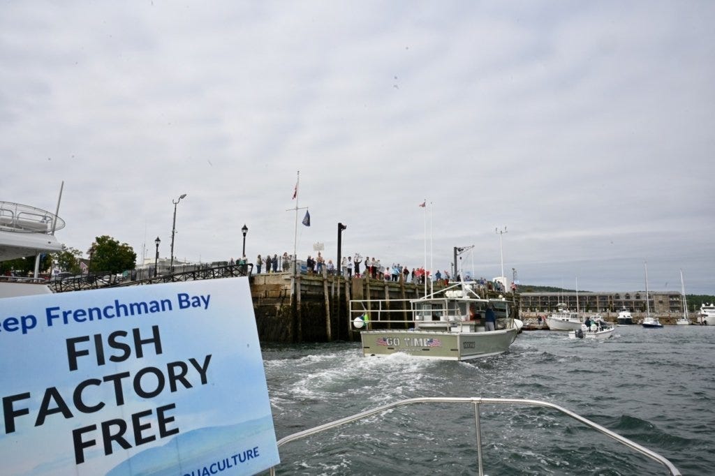 The "Save the Bay” flotilla on Sunday passed by the Bar Harbor town pier, where people holding signs against the proposed fish farm were gathered.