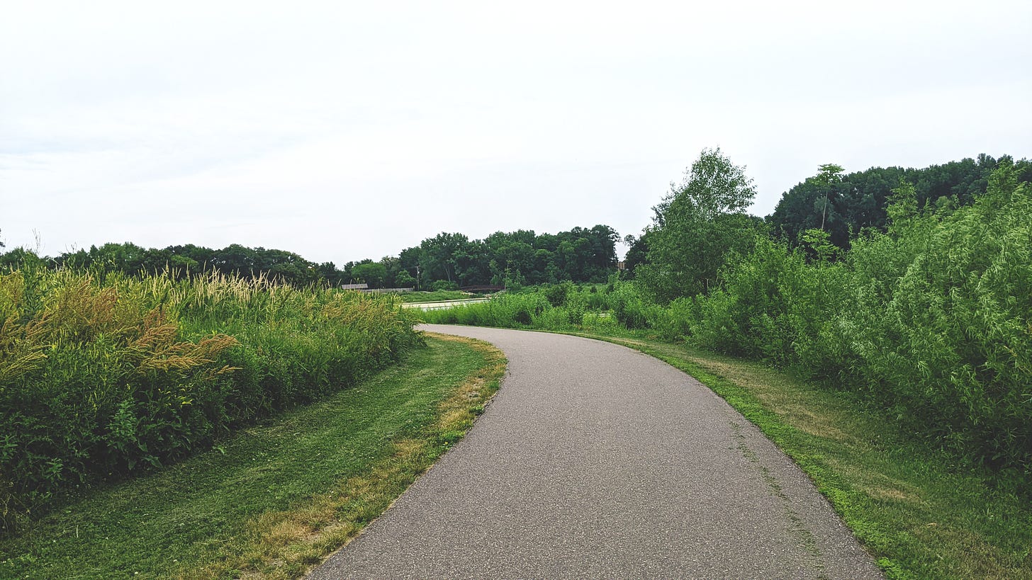 a curved, paved trail, with long native grasses on both sides, and a pond in the distance