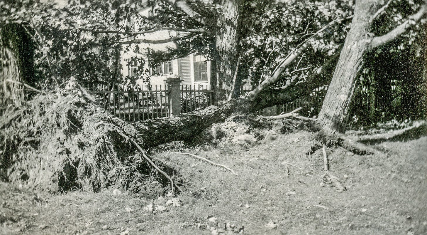 1938 Hurricane damage