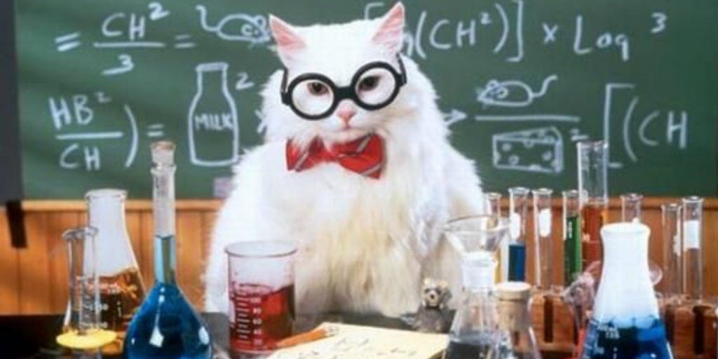 science cat - Off the Cusp