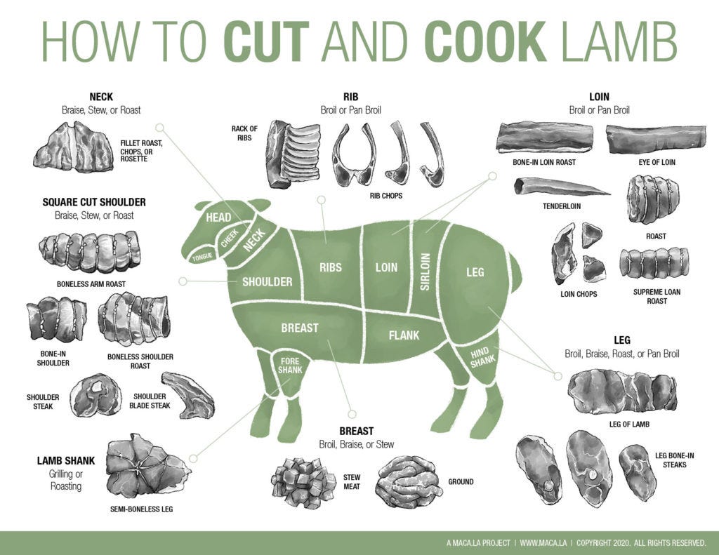 Butcher, Cut and Cook Lamb