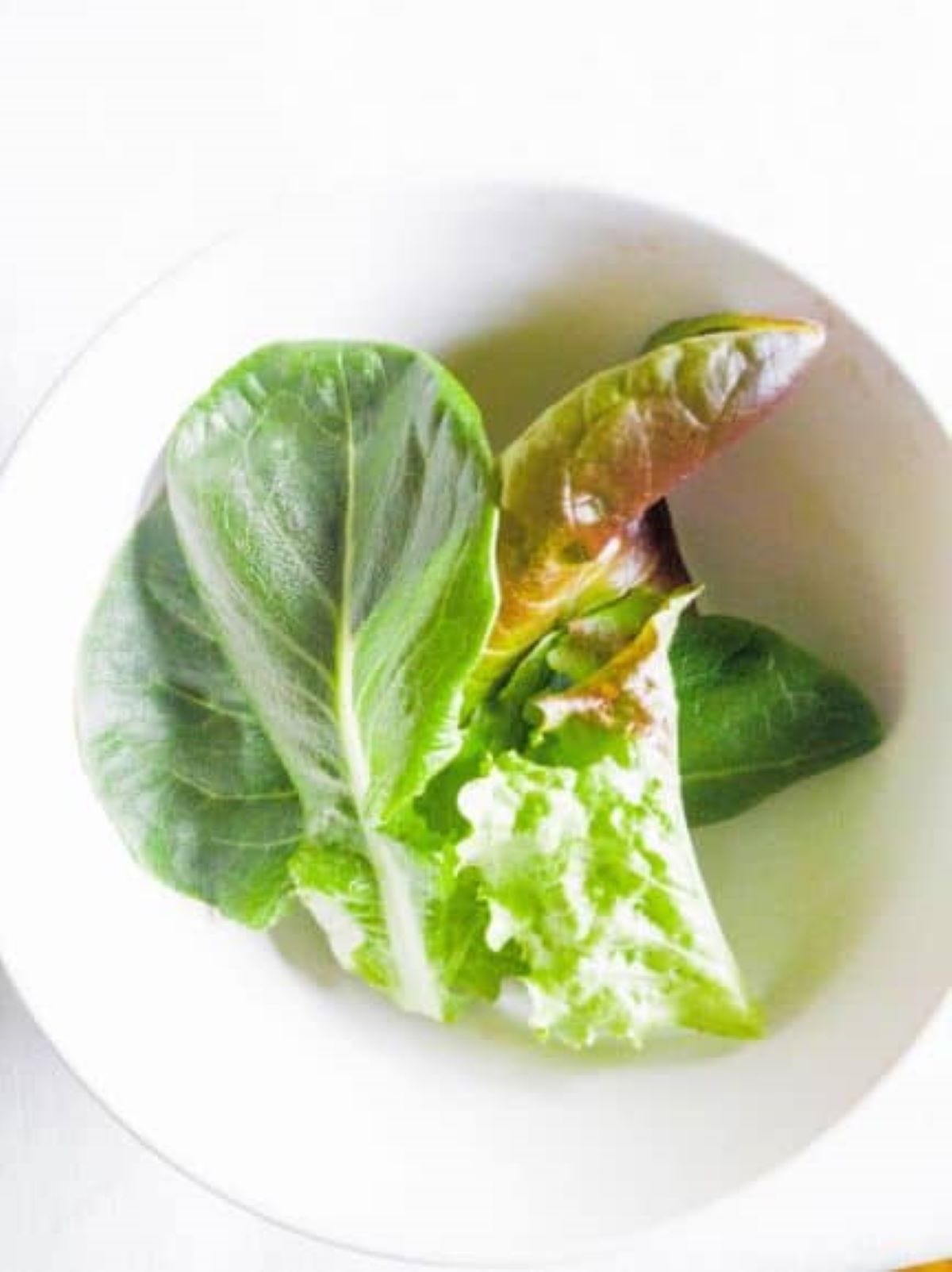 lettuce greens in white bowl