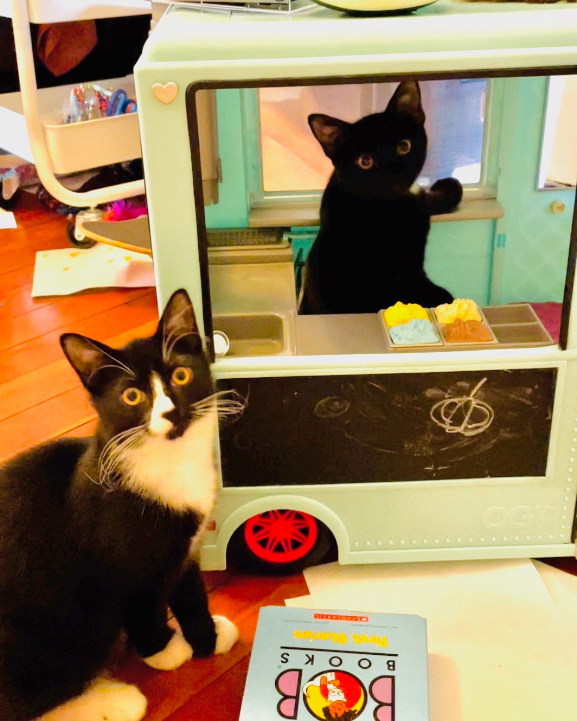 Image of two black and white cats in a toy ice cream truck. 