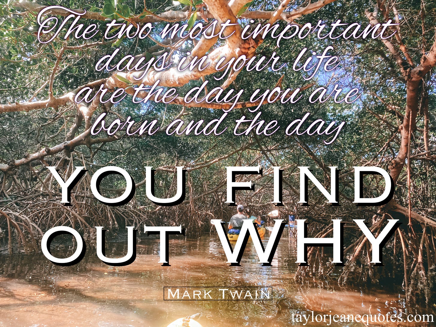 taylor jeane quotes, quote of the day, motivational quotes, inspirational quotes, positive quotes, uplifting quotes, life quotes, mark twain quotes, quotes, mark twain