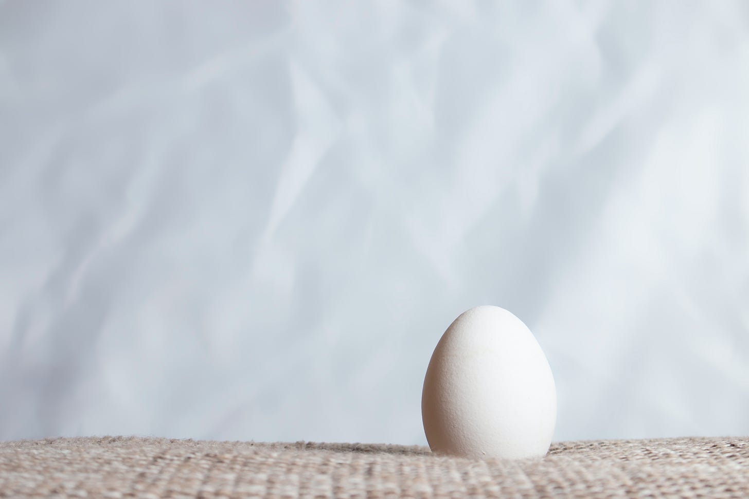A single egg with a papery background
