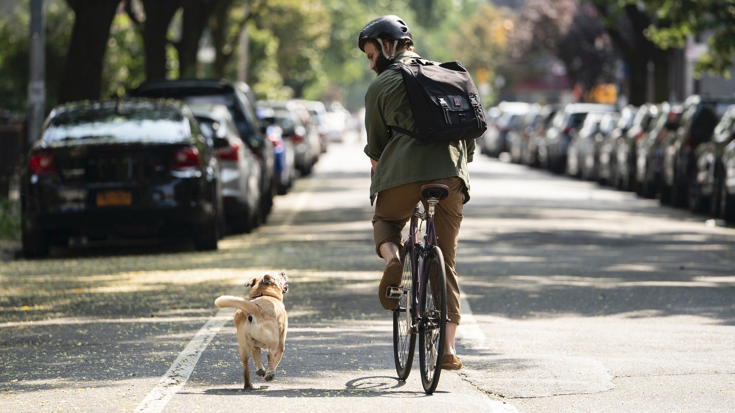 A dog and a guy on a bike 