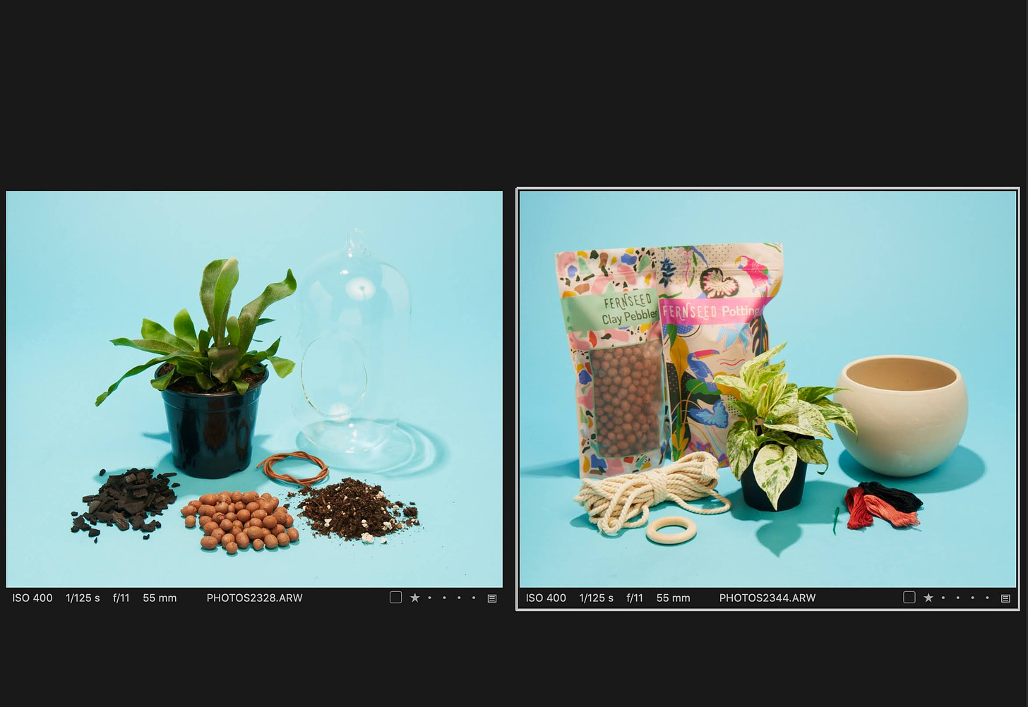 side by side photos of plants and kit materials on a backdrop