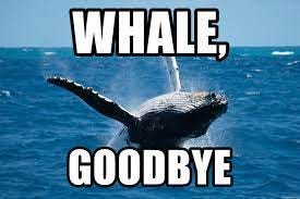 Whale, Goodbye - WHALES | Meme Generator