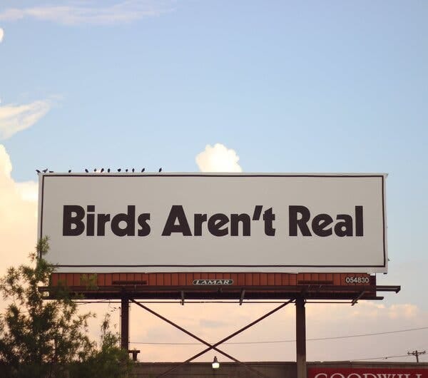 A Birds Aren&rsquo;t Real billboard in Memphis in July.