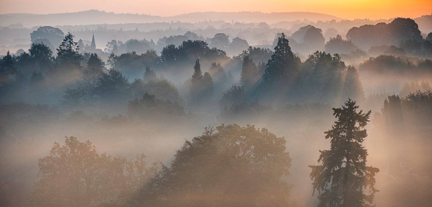 Dawn Mist In The Surrey Hills Dawn Mist In The Surrey Hills