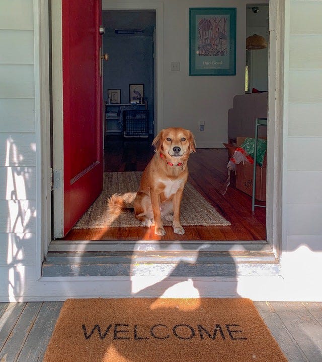A dog sitting in front of an entrance with a welcome mat in front