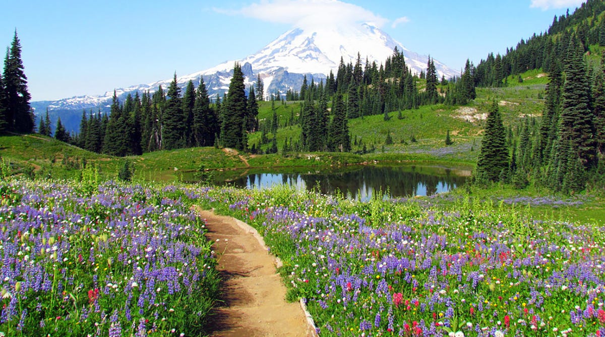 7 Best Wildflower Trails and Spring Hikes in the US | Therm-a-Rest Blog