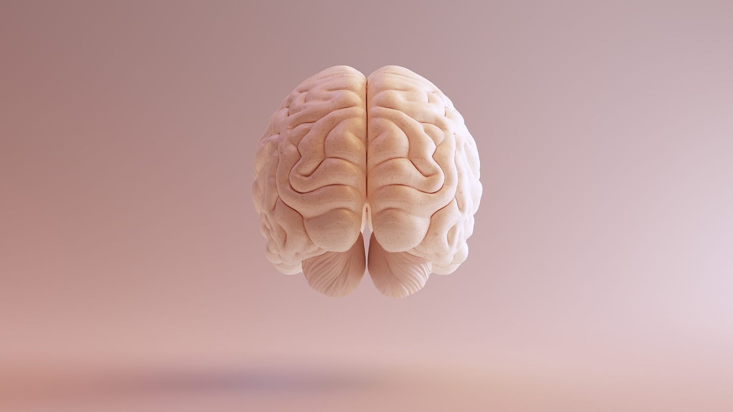 Floating human brain