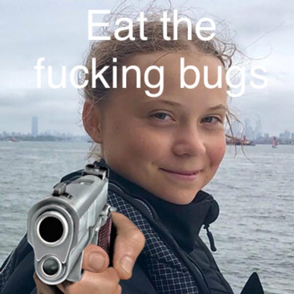 points gun at you* "Eat the bugs" | I Will Not Eat the Bugs | Know Your Meme