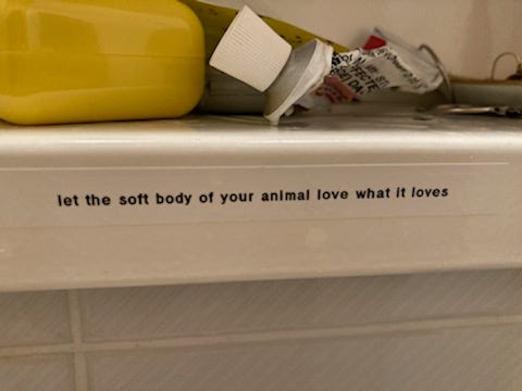Photo of a label on a shelf that reads "let the soft body of your animal love what it loves"