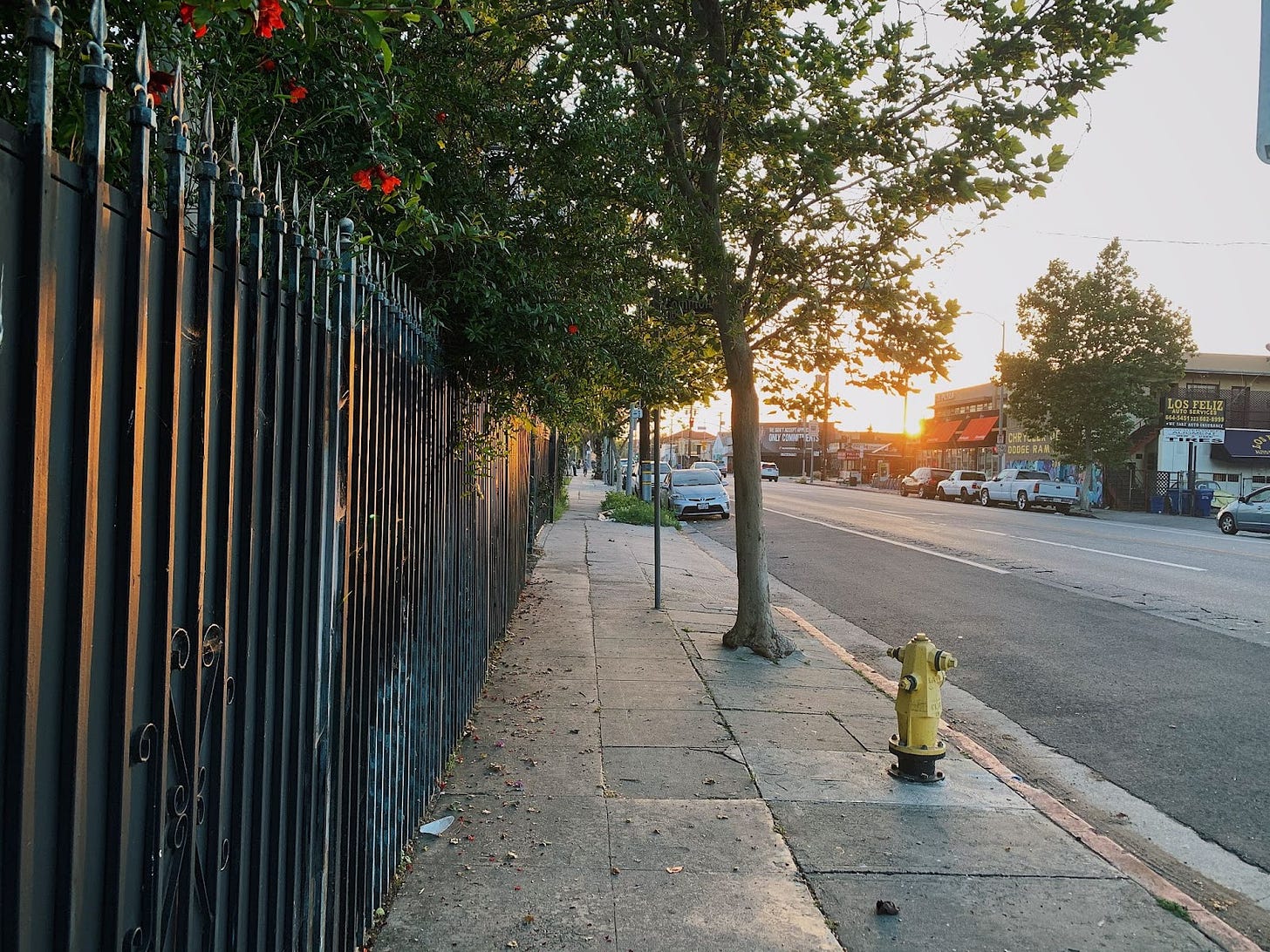 Photo of Santa Monica Blvd at dusk, with a black metal fence on the left side of the image, the sidewalk in the middle, and the street with businesses on the right. Sunset light makes the trees glow.