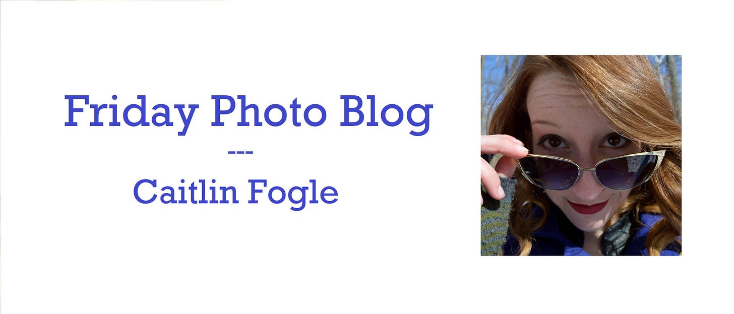 fogle