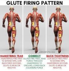 ENHANCE U SPORTS PERFORMANCE ACADEMY - No big words needed! It&#39;s simple the  Gluteus Maximus the biggest muscle in the human body &amp; must be developed  properly! All starts from your daily