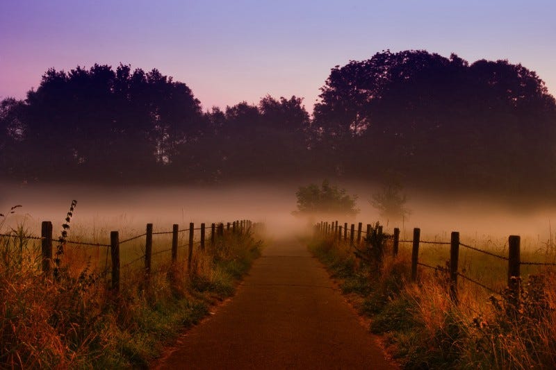 boarded path into mist.