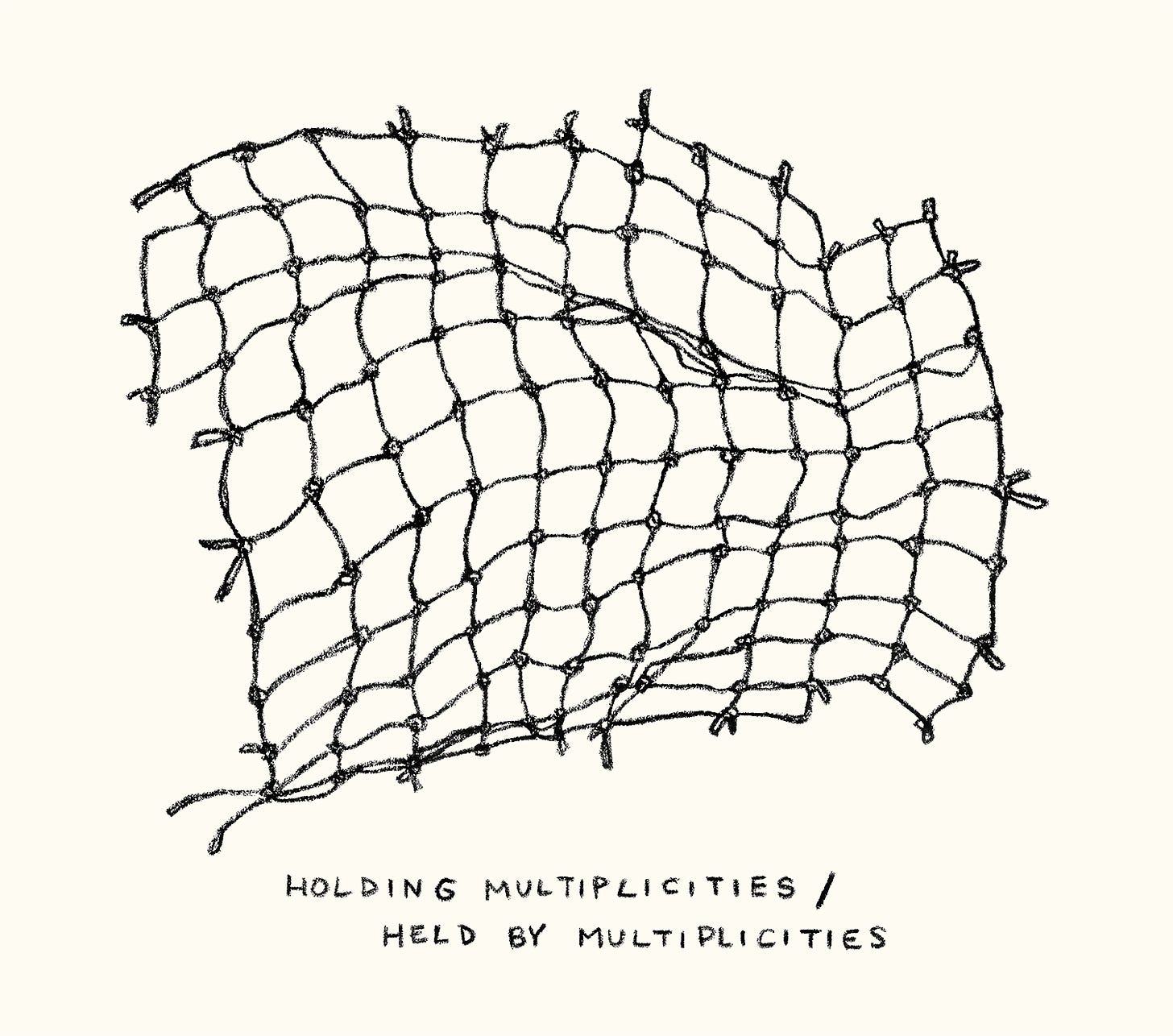 A black and white illustration of a net with the following text at the bottom: "Holding multiplicities / Held by multiplicities"