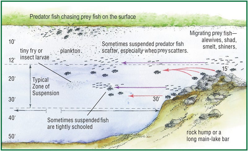 Fishing for Conservation - Texas Aquatic Science Curriculum - Rudy Rosen