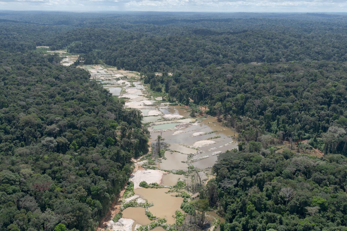 Garimpo na Amazônia: um problema de todos nós - Greenpeace Brasil