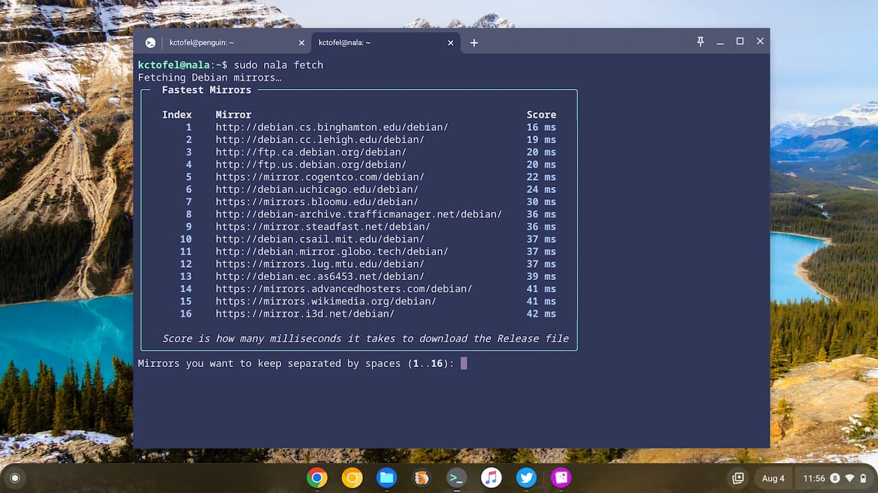Nala mirror test for Linux on a Chromebook