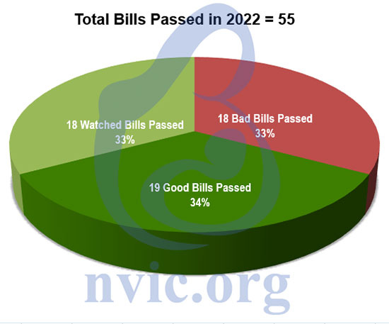 total bills passed in 2022