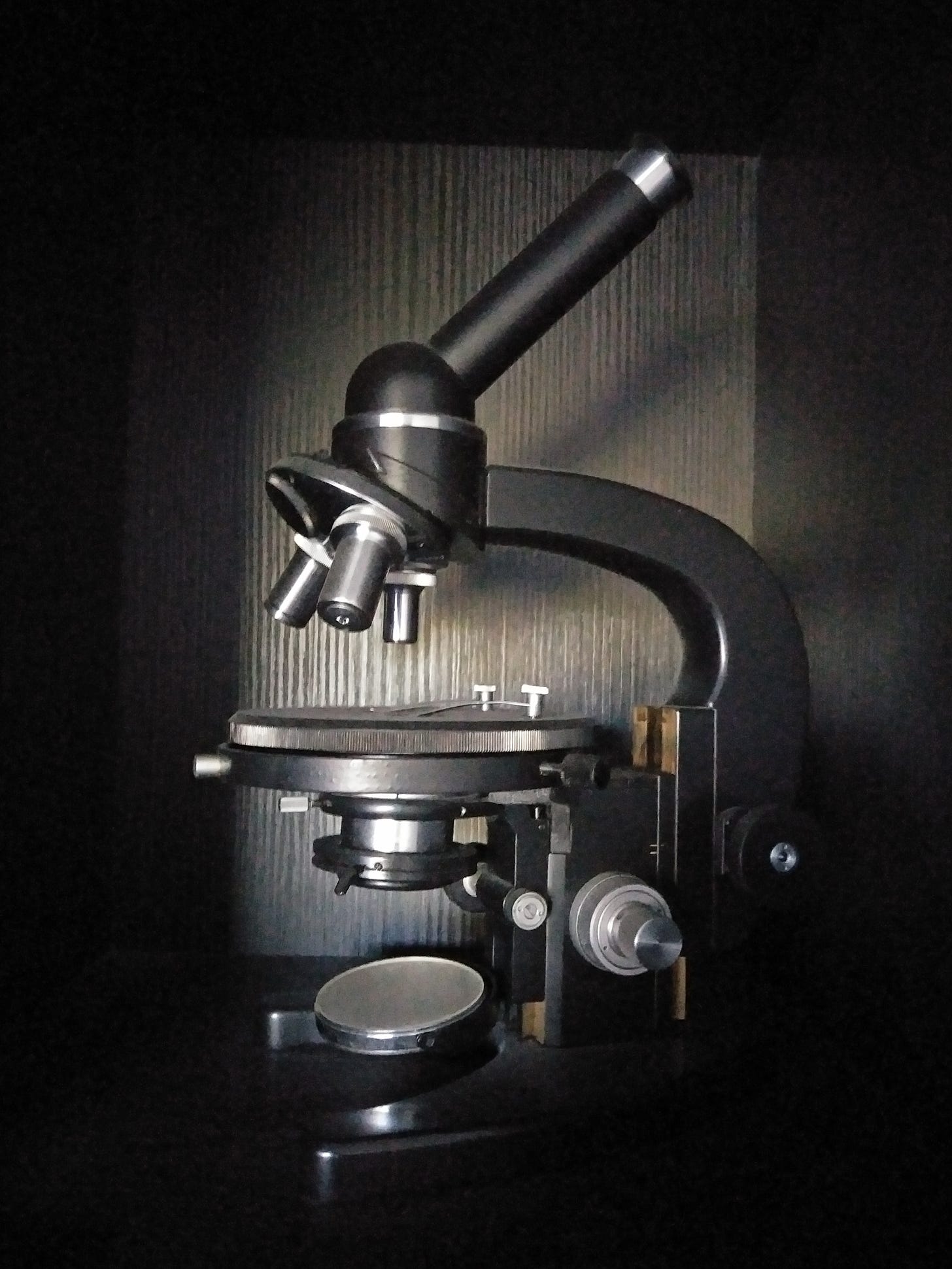 Microscope with mirror