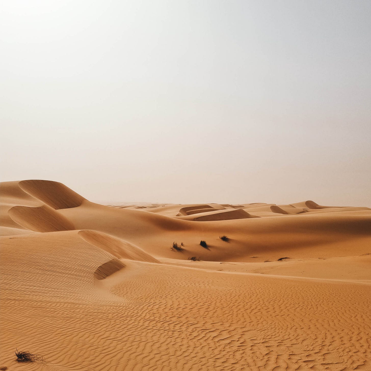 dunes du sahara