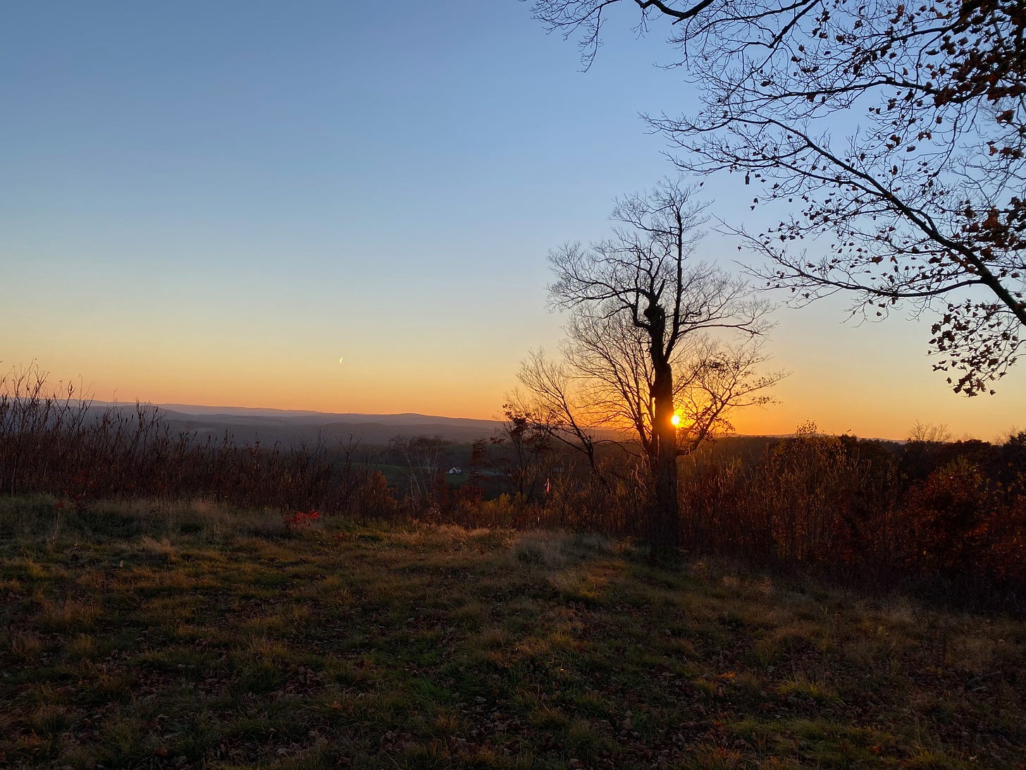 View from a hilltop looking out toward the sunset. The golden sun is positioned behind a tree with bare branches, silhouetted against the sky. The horizon is orange and golden, the sky above it clear and blue. Distant hills are visible, and the hilltop is dark, with brown grasses.