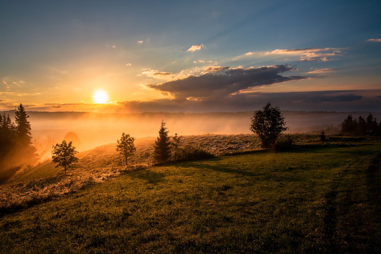 The sun rises to the left over the clouds and hills, casting a yellow haze over grass, shrubs, and trees.