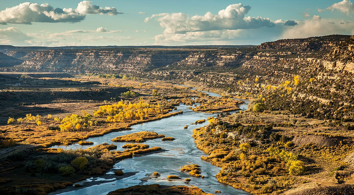 The Nature Conservancy in New Mexico