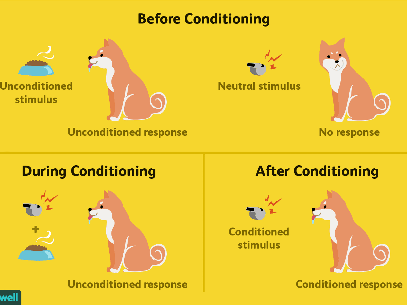 Classical Conditioning: How It Works With Examples