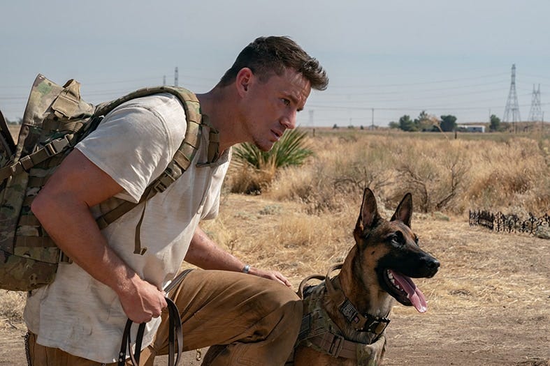 Dog' movie review: Channing Tatum movie is a deeply thoughtful,  surprisingly resonant study of trauma. - The Washington Post