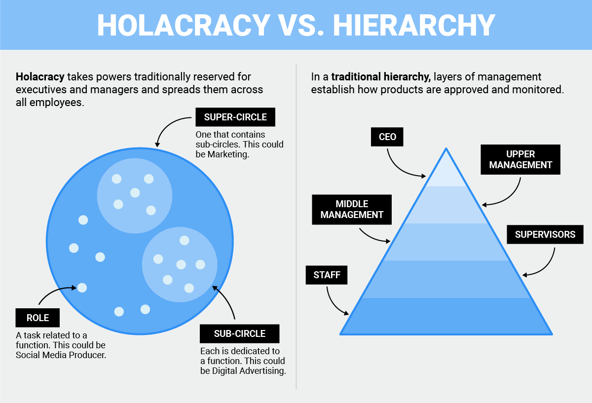 Holacracy vs Hierarchy | Charterhouse SG