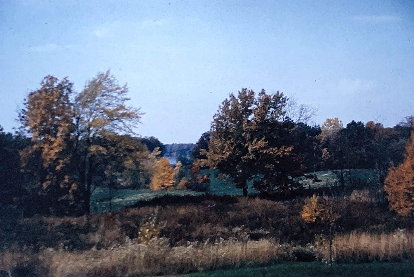 A hilly fall landscape, with trees showing off burnt orange and brown leaves against a blue sky. A hilly fall landscape, with trees showing off burnt orange and brown leaves against a blue sky.