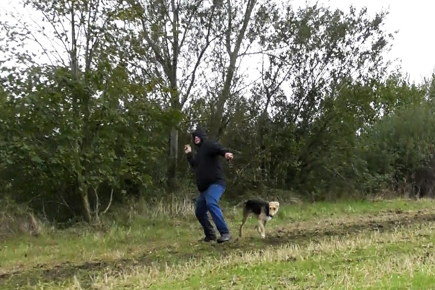 Hare courser about to throw something at hunt saboteur