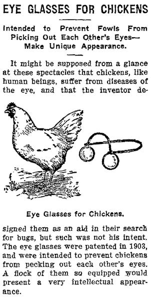 File:Eye Glasses For Chickens.png
