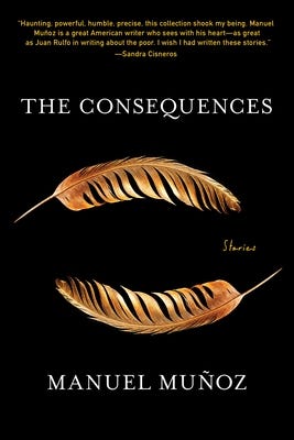 Cover for The Consequences