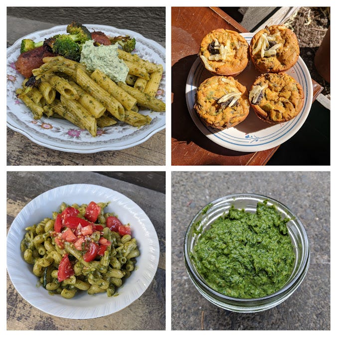 a photo collage of penne w/ pesto and seared broccoli, vegan frittata cups w/ pesto dollops, homemade pesto, and pesto pasta mista w/ fresh tomatoes