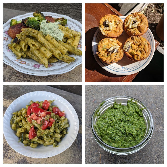 a photo collage of penne w/ pesto and seared broccoli, vegan frittata cups w/ pesto dollops, homemade pesto, and pesto pasta mista w/ fresh tomatoes a photo collage of penne w/ pesto and seared broccoli, vegan frittata cups w/ pesto dollops, homemade pesto, and pesto pasta mista w/ fresh tomatoes