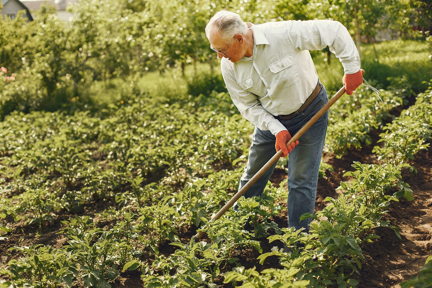 An older man working in a garden.