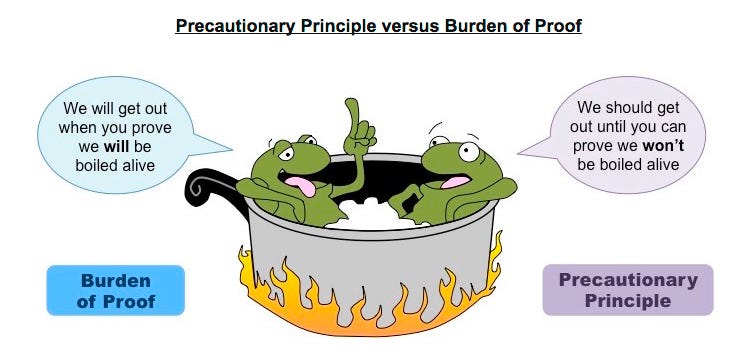 The heading says Precautionary Principale versus Burden of Proof. The image is a drawing of 2 frogs in a pot that's on a fire with flames coming up around the sides of the pot. One frog has one index finger in the air and says in a caption bubble We wil get out when you prove we will be boiled alive. and it is labeled Burden of Proof. The other frog states in the caption bubble We should get out until you can prove we won't be boiled alive. This is labeled precautionary principle. 