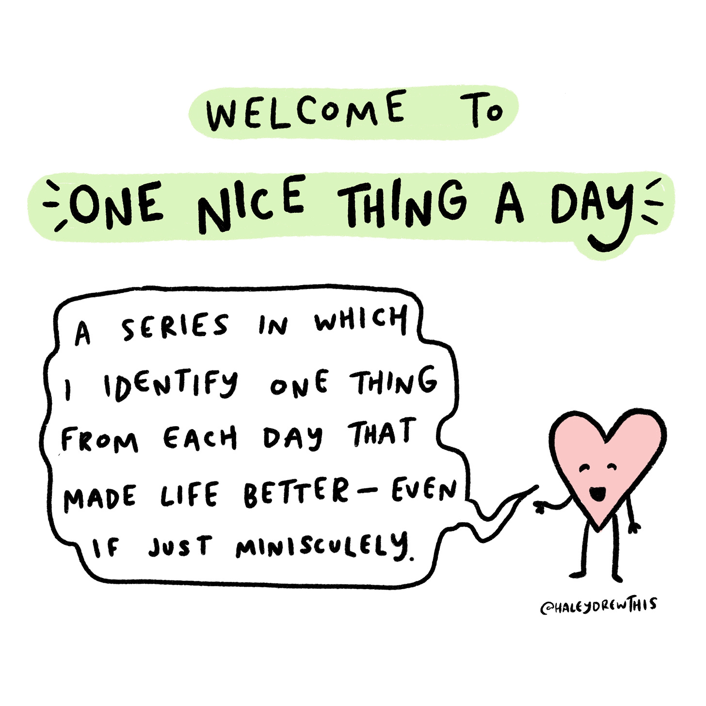 Welcome to one nice thing a day