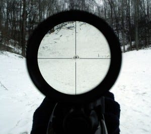 View through a rifle scope