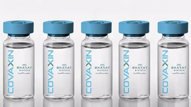 Covaxin COVID-19 Vaccine To Be Available In First Quarter Of Next Year,  Says Bharat Biotech