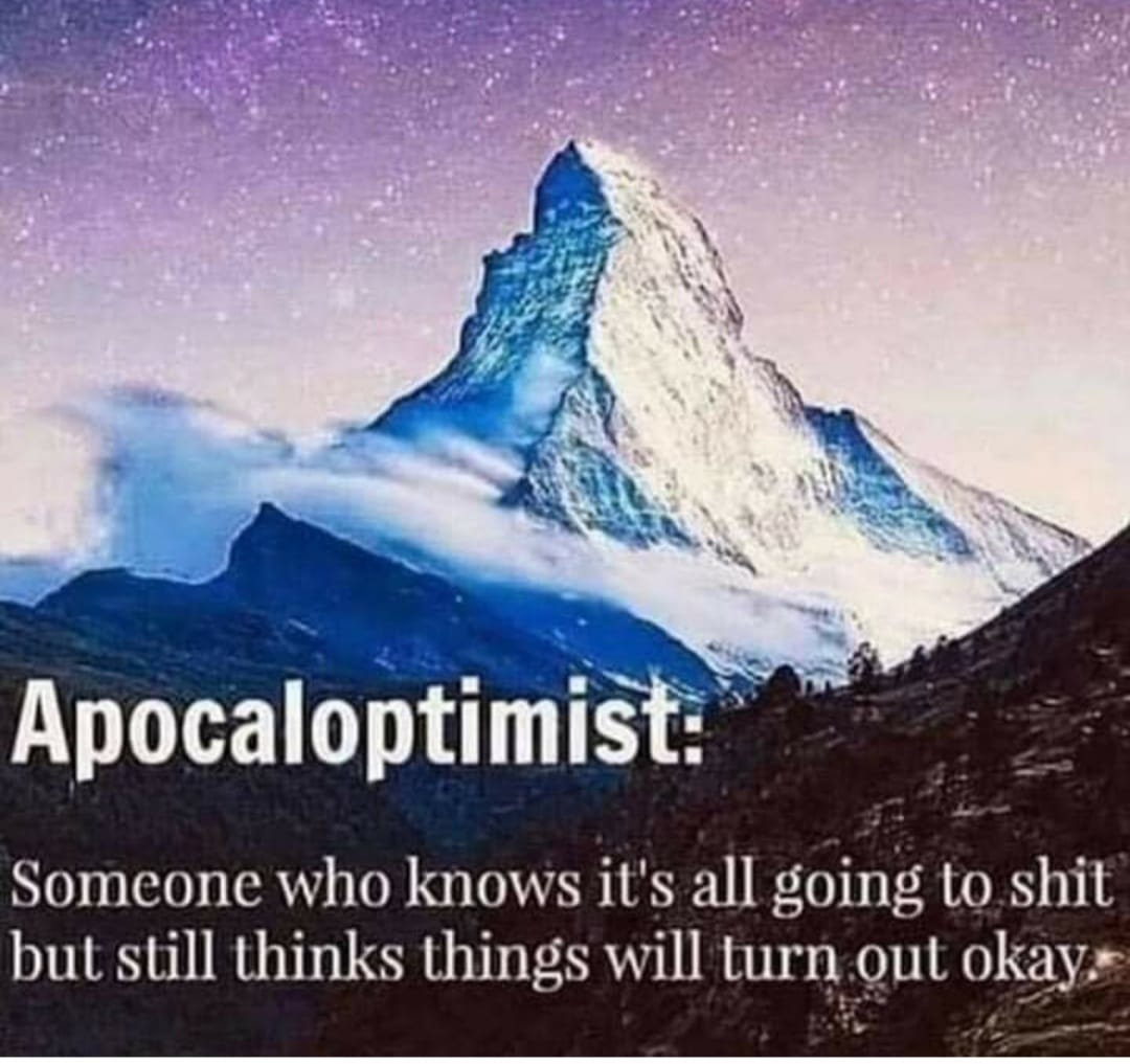 May be an image of text that says 'Apocaloptimist. Someone who knows it's all going to shit but still thinks things will turn out okay.'