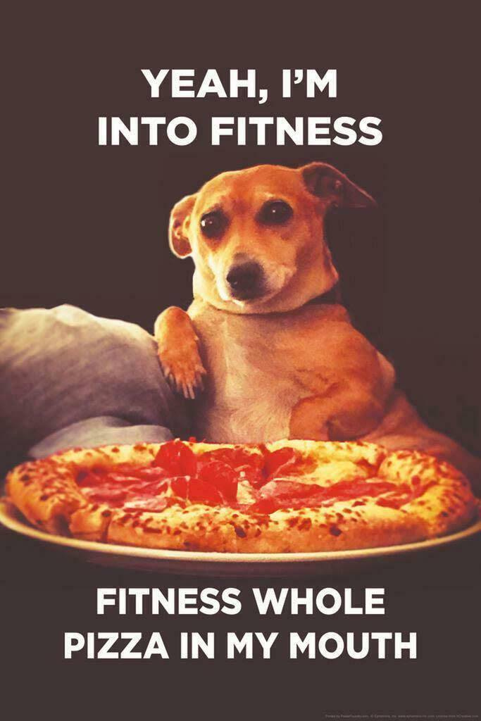May be an image of dog, pizza and text that says 'YEAH, I'M INTO FITNESS FITNESS WHOLE PIZZA IN MY MOUTH'