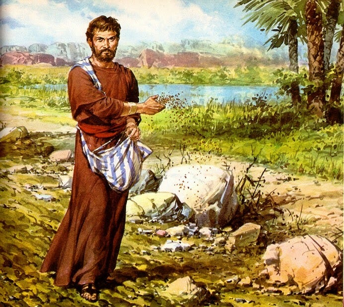 A BEAUTIFUL PARABLE OF JESUS IN THE FIELD OF FARMING | A CHRISTIAN  PILGRIMAGE
